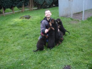 ChenilDuPiree - Chiot Berger allemand 1